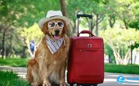 宠物往返美国要多久到达?宠物往返美国要多久到达机场!